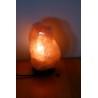 Himalayan Salt Lamp (2-3 kg)